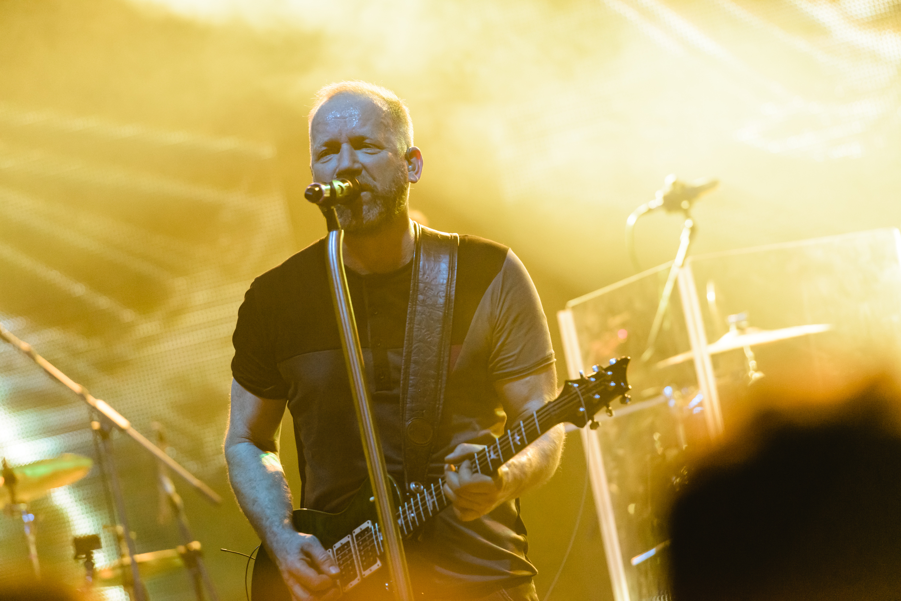 DAVID KOLLER – Best of